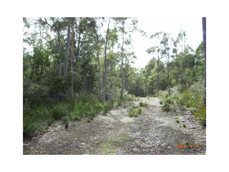Lot 1 Denmans Road, Birralee TAS 7303