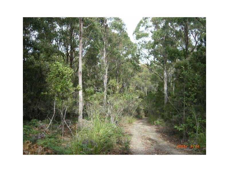 Lot 1 Denmans Road, Birralee TAS 7303