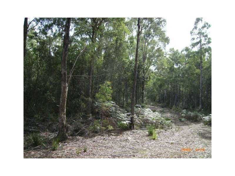 Lot 1 Denmans Road, Birralee TAS 7303