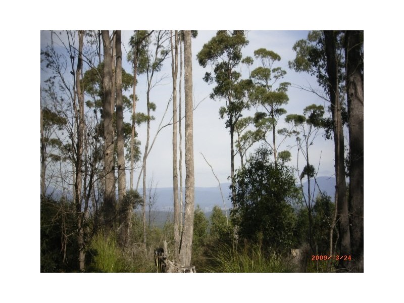 Lot 1 Denmans Road, Birralee TAS 7303
