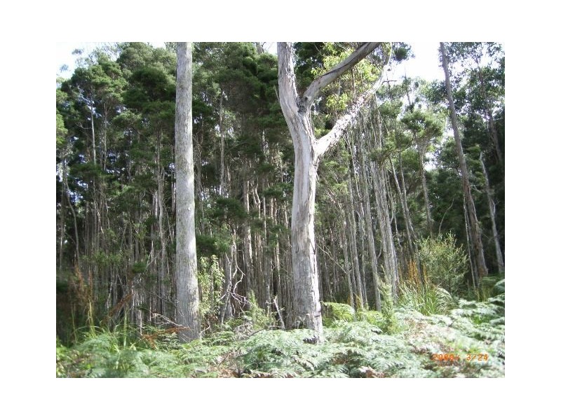 Lot 1 Denmans Road, Birralee TAS 7303