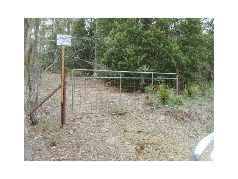 Lot 1 Priestleys Lane, Birralee TAS 7303