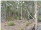 Lot 1 Priestleys Lane, Birralee TAS 7303