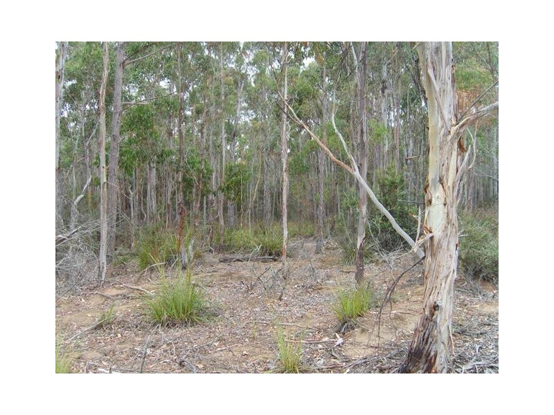 Lot 1 Priestleys Lane, Birralee TAS 7303