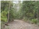 Lot 1 Priestleys Lane, Birralee TAS 7303