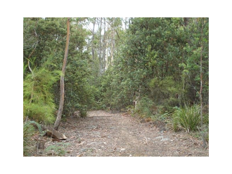 Lot 1 Priestleys Lane, Birralee TAS 7303