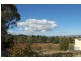 34 Crandon Crescent, Newnham TAS 7248