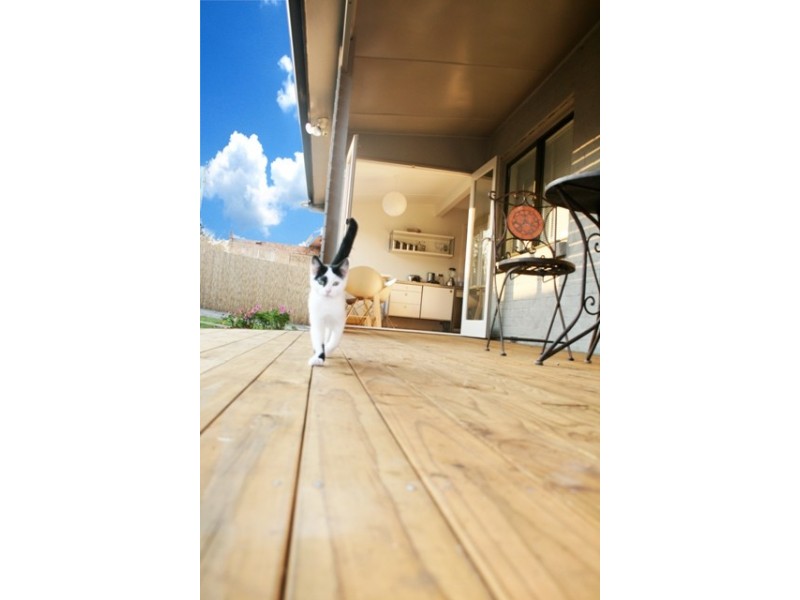 25 Innocent Street, Kings Meadows TAS 7249