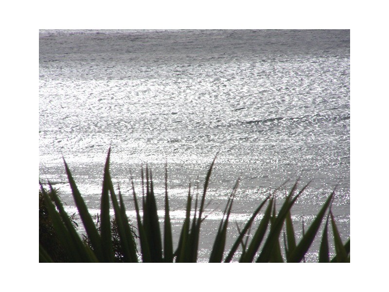 173 Gardners Road, Greens Beach TAS 7270
