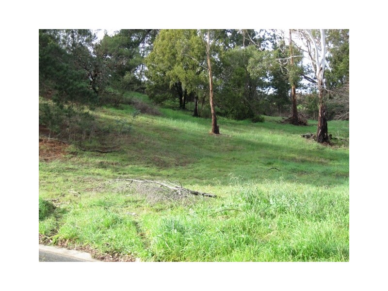 24-26 Queechy Road, Norwood TAS 7250