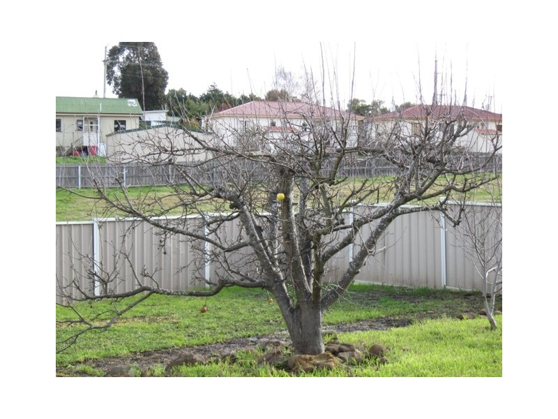 31 Box Street, Mayfield TAS 7248