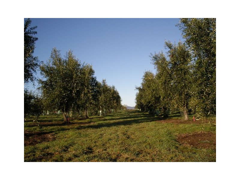 2670 West Tamar Highway, Exeter TAS 7275