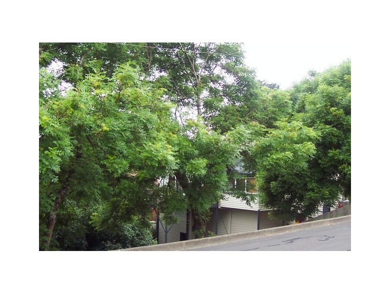 76 Wentworth Street, Newstead TAS 7250