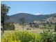 64 Main Street, Ringarooma TAS 7263