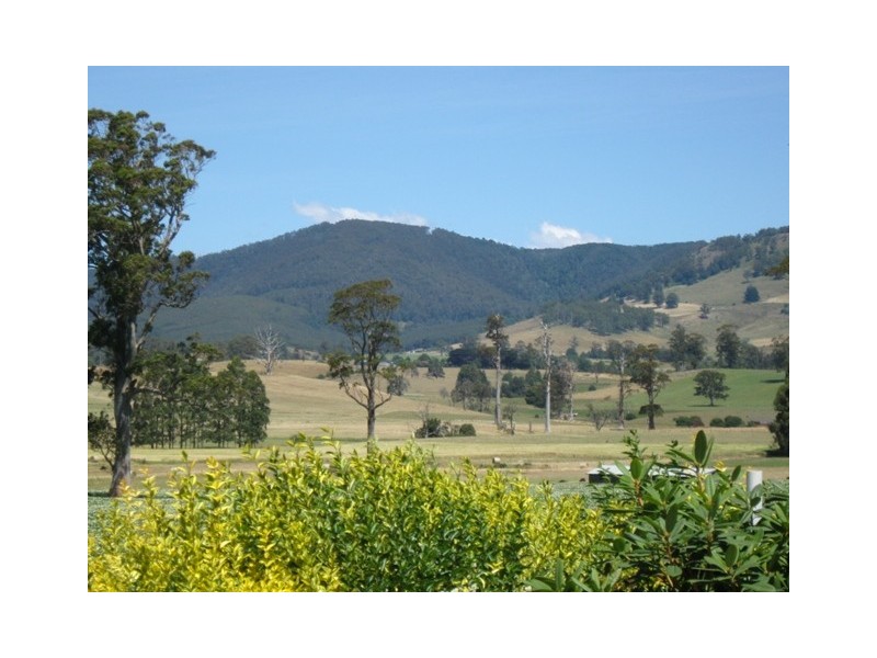 64 Main Street, Ringarooma TAS 7263