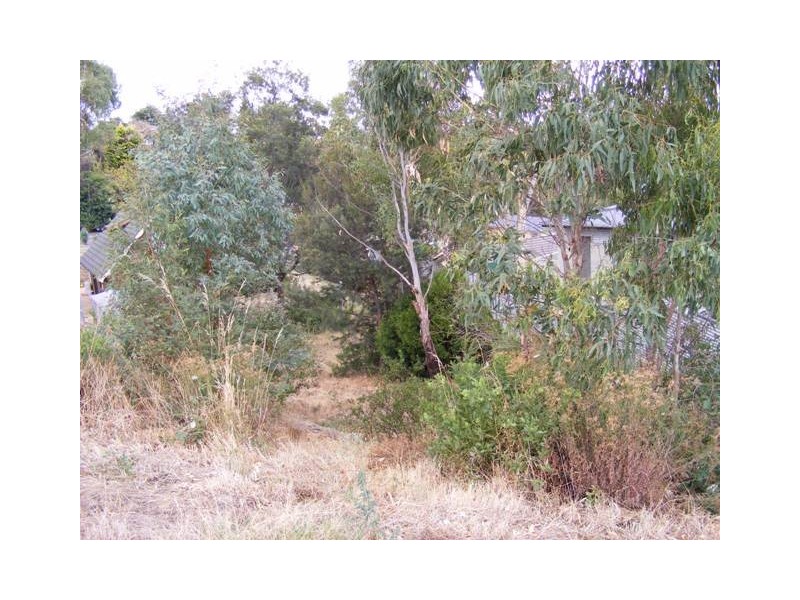 3 Adina Terrace, Kings Meadows TAS 7249