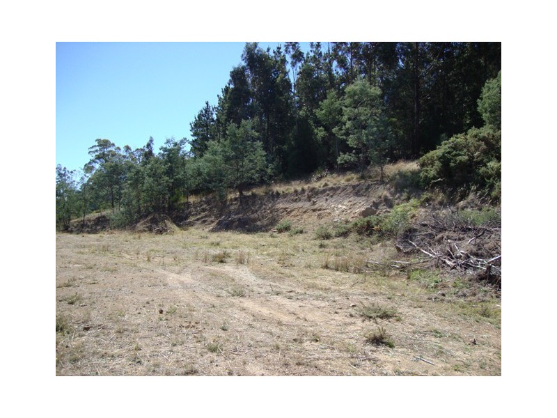 92 Panorama Road, Blackstone Heights TAS 7250