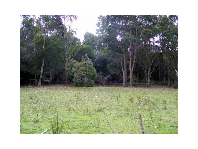 60 Hodgetts Road, Holwell TAS 7275