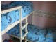 383 Dolphin Sands Road, Dolphin Sands TAS 7190