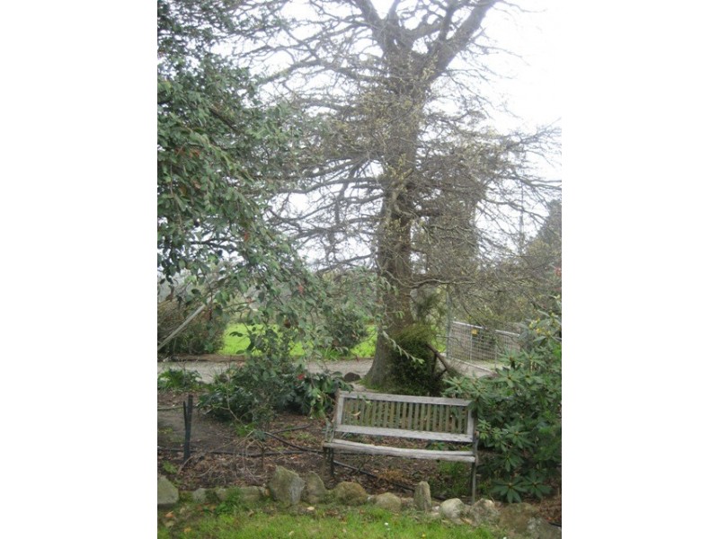 124 Glendale Road, Sidmouth TAS 7270