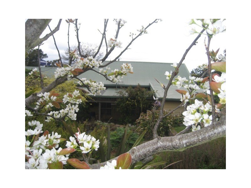 124 Glendale Road, Sidmouth TAS 7270