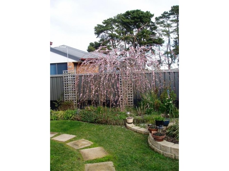 5/60a Drummond Street, Perth TAS 7300