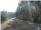 351 English Town Road, Deddington TAS 7212