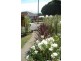 61 Riseley Street, Kings Meadows TAS 7249