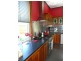 20 Scone Street, Perth TAS 7300