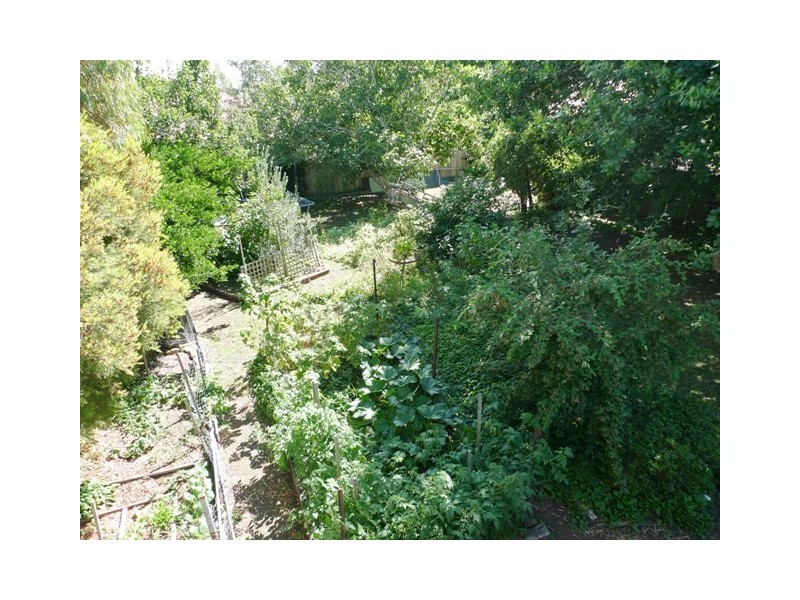 20 Scone Street, Perth TAS 7300