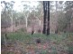 175 Tattersalls Road, Beaconsfield TAS 7270