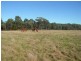 38 Whites Road, Beaconsfield TAS 7270