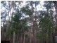 175 Tattersalls Road, Beaconsfield TAS 7270