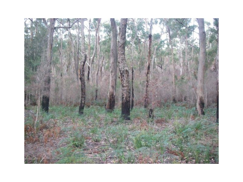 175 Tattersalls Road, Beaconsfield TAS 7270