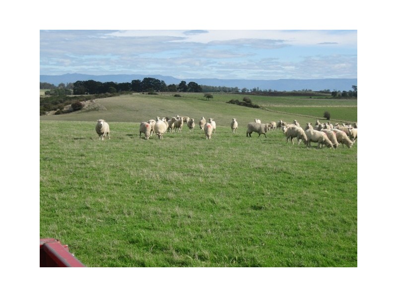 84 Trafalgar Lane, Evandale TAS 7212