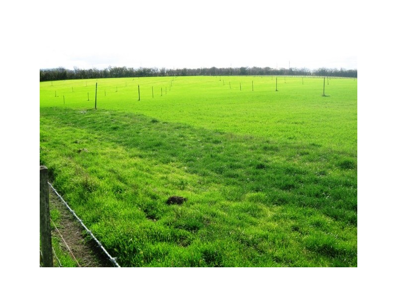 84 Trafalgar Lane, Evandale TAS 7212