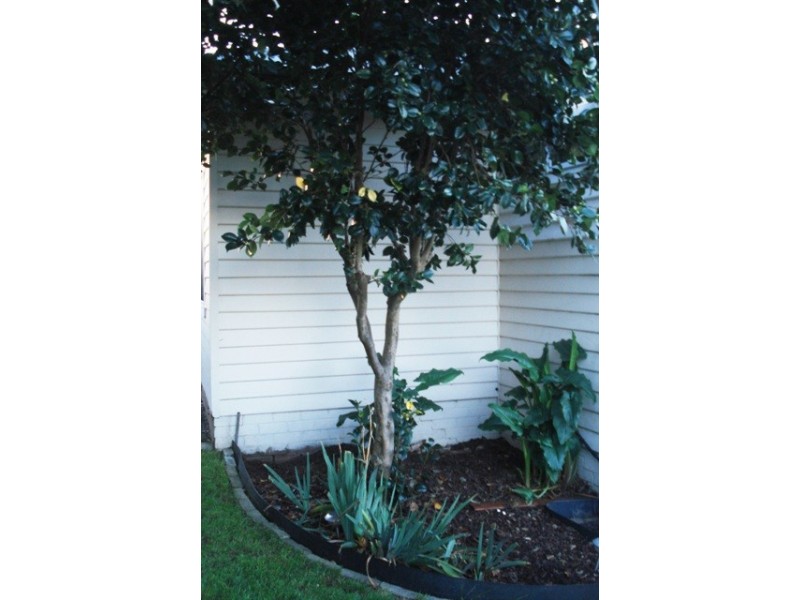 29 Riseley Street, Kings Meadows TAS 7249