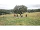 71 Frasers Road, Glengarry TAS 7275