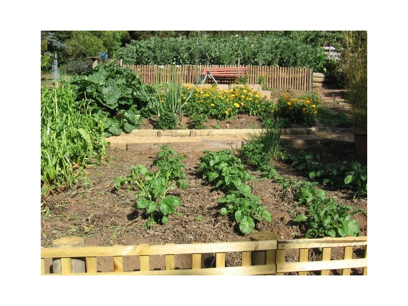 247 Upper York Street, Launceston TAS 7250