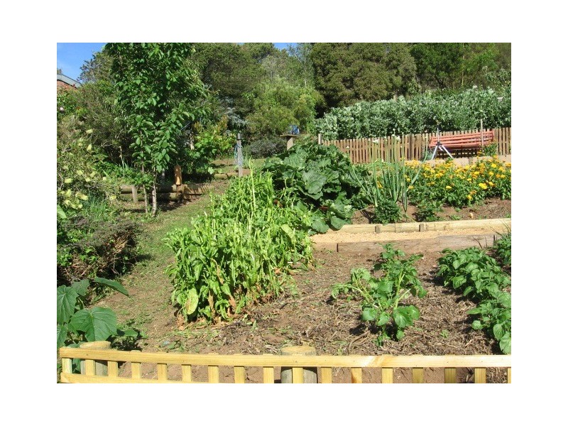 247 Upper York Street, Launceston TAS 7250