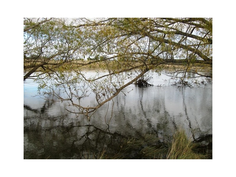 84 Trafalgar Lane, Evandale TAS 7212