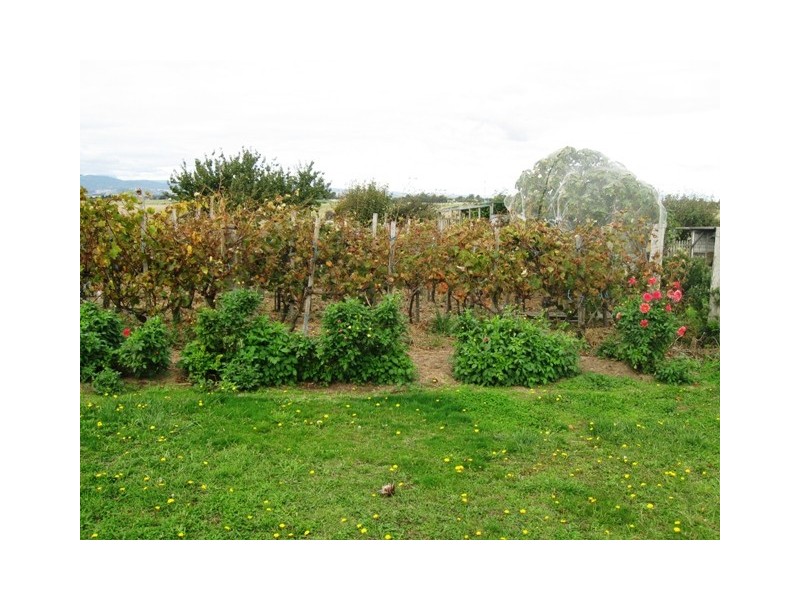 84 Trafalgar Lane, Evandale TAS 7212