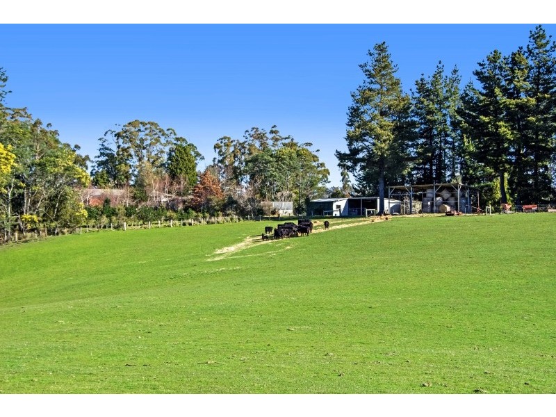339 Paling Track, Bangor TAS 7267