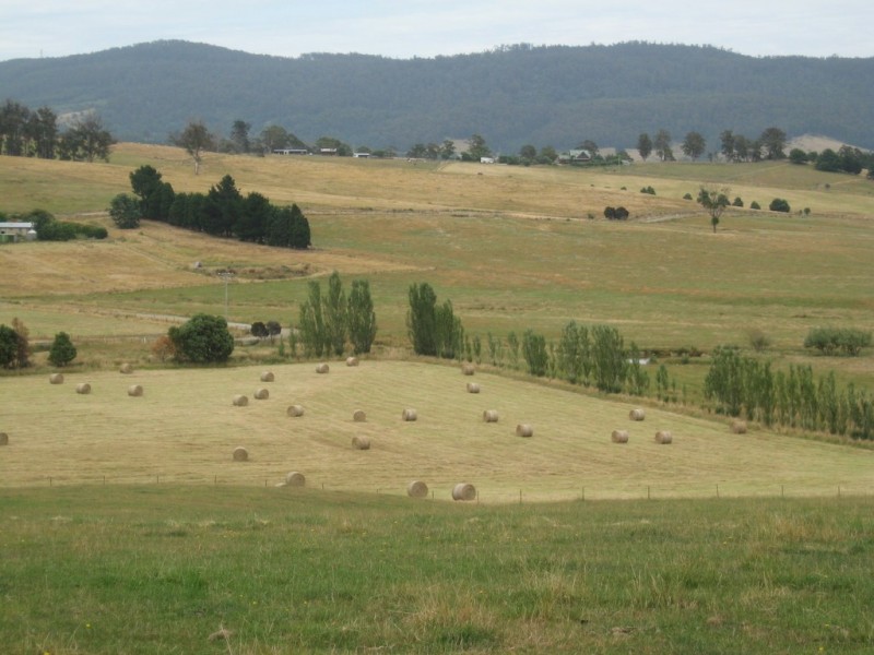 339 Paling Track, Bangor TAS 7267
