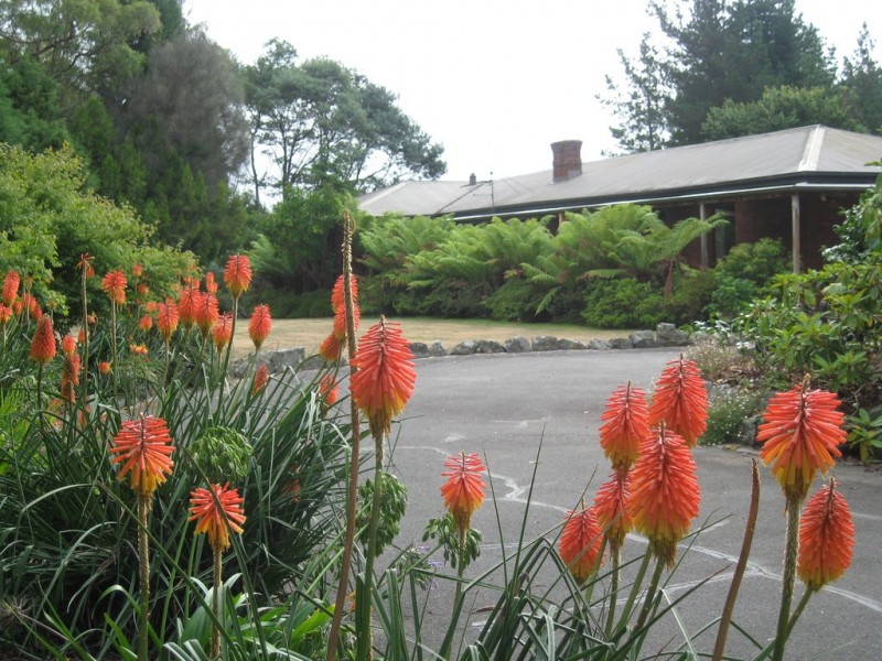 339 Paling Track, Bangor TAS 7267