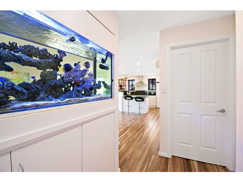 6 Mestre Court, St Leonards TAS 7250