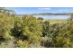203 Windermere Road, Windermere TAS 7252