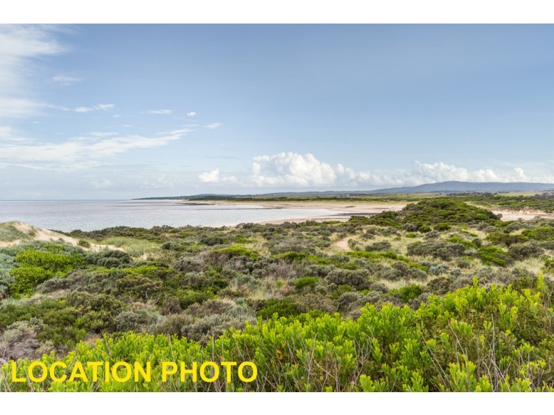 8 Davis Street, Beechford TAS 7252