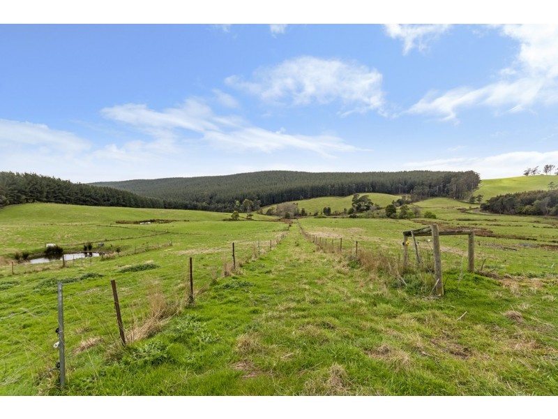 93 Yondover Road, Tunnel TAS 7254