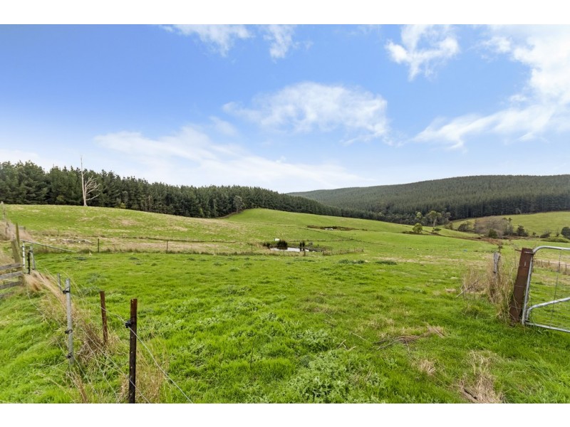 93 Yondover Road, Tunnel TAS 7254